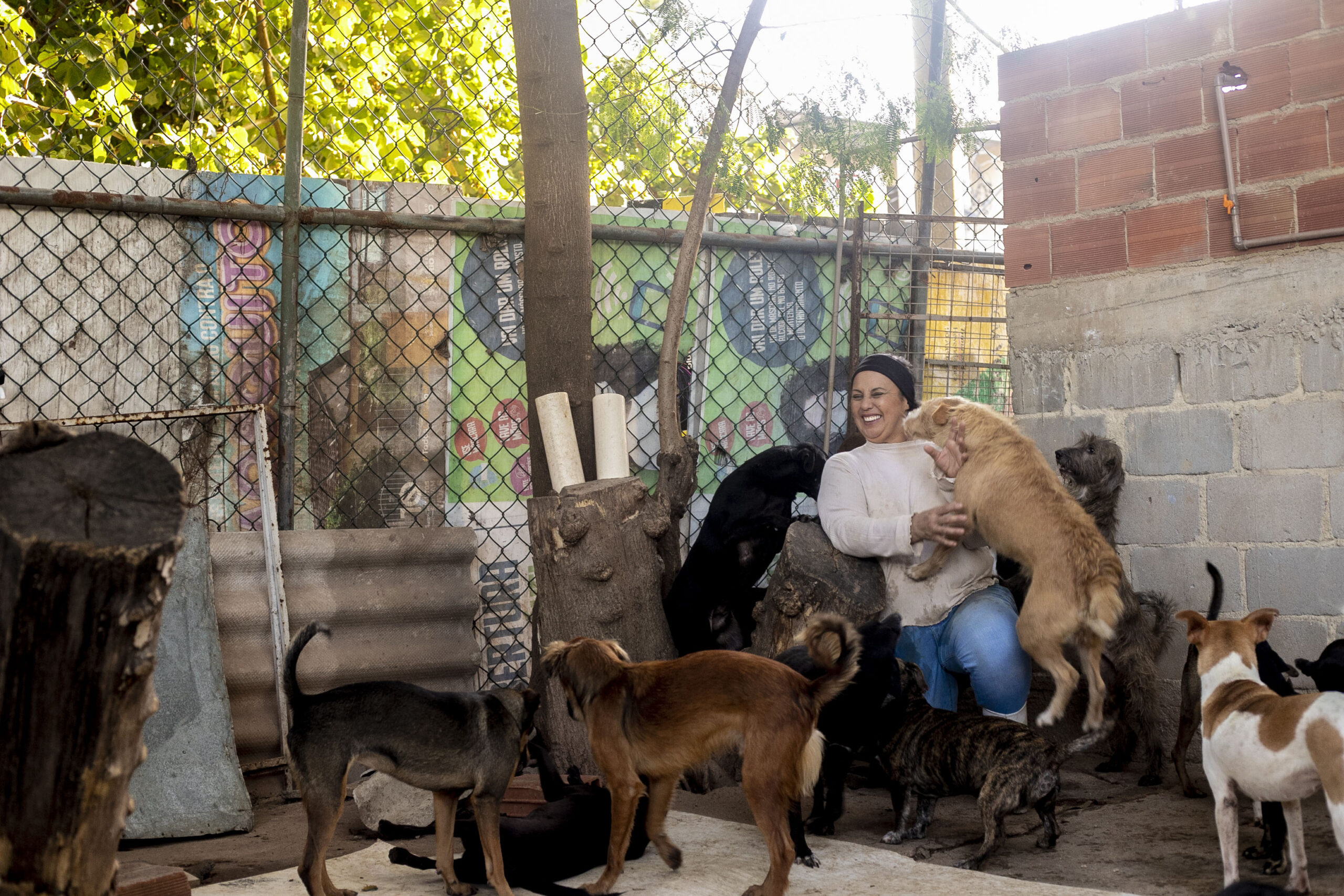 Abrigo no Piscinão de Ramos vem salvando a vida de mais de 300 animais abandonados na Maré